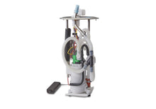 Load image into Gallery viewer, Photo - Unmounted