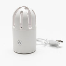 Load image into Gallery viewer, Photo - Primary