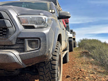 Load image into Gallery viewer, Photo - Primary