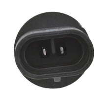 Load image into Gallery viewer, Photo - Unmounted