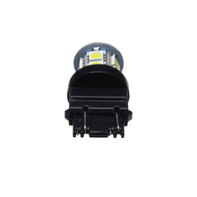 Load image into Gallery viewer, Photo - Mounted