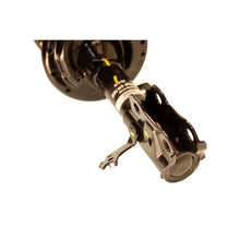 Load image into Gallery viewer, Photo - out of package