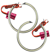 Load image into Gallery viewer, Photo - Primary