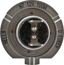 Load image into Gallery viewer, Photo - Close Up