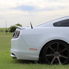 Load image into Gallery viewer, Photo - Mounted