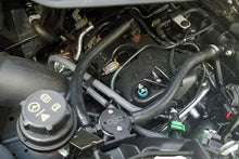 Load image into Gallery viewer, Photo - Primary