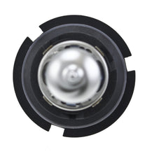 Load image into Gallery viewer, Photo - Close Up