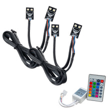 Load image into Gallery viewer, Photo - Primary