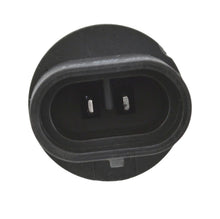 Load image into Gallery viewer, Photo - Close Up