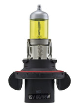 Load image into Gallery viewer, Photo - Unmounted