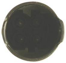 Load image into Gallery viewer, Photo - out of package