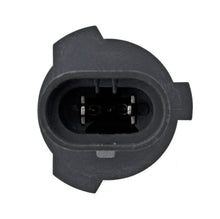 Load image into Gallery viewer, Photo - Close Up