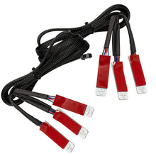 Load image into Gallery viewer, Photo - Primary