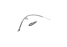 Load image into Gallery viewer, Photo - Unmounted