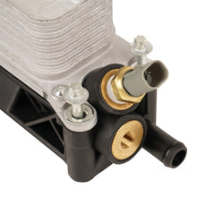 Load image into Gallery viewer, Photo - Unmounted