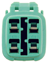 Load image into Gallery viewer, Photo - out of package