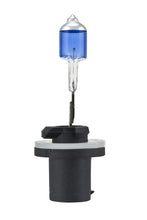 Load image into Gallery viewer, Photo - Close Up