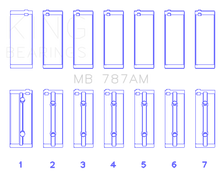 Load image into Gallery viewer, Photo - Primary