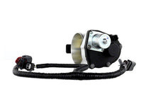 Load image into Gallery viewer, Photo - Unmounted