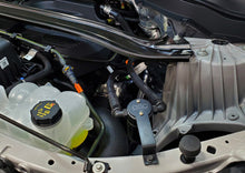 Load image into Gallery viewer, Photo - Mounted