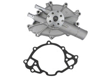 Load image into Gallery viewer, Photo - Unmounted