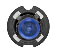 Load image into Gallery viewer, Photo - Close Up