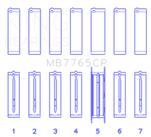 Load image into Gallery viewer, Photo - Primary