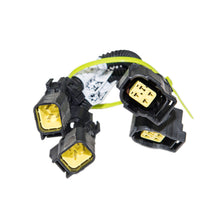 Load image into Gallery viewer, Photo - Primary