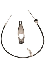 Load image into Gallery viewer, Photo - Primary