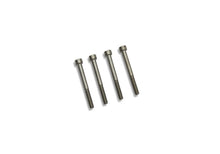 Load image into Gallery viewer, Photo - Unmounted