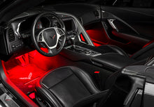 Load image into Gallery viewer, Photo - Close Up
