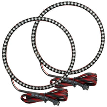 Load image into Gallery viewer, Photo - Primary
