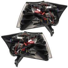 Load image into Gallery viewer, Photo - Close Up
