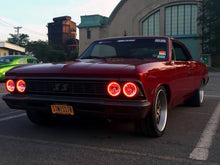 Load image into Gallery viewer, Photo - lifestyle view
