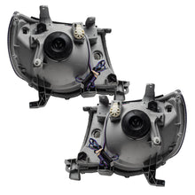 Load image into Gallery viewer, Photo - Mounted
