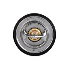 Load image into Gallery viewer, Photo - Close Up
