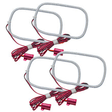 Load image into Gallery viewer, Photo - Primary
