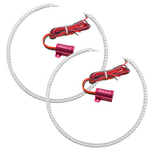 Load image into Gallery viewer, Photo - Primary
