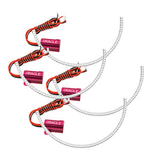 Load image into Gallery viewer, Photo - Mounted
