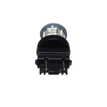 Load image into Gallery viewer, Photo - Mounted
