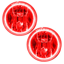 Load image into Gallery viewer, Photo - Primary
