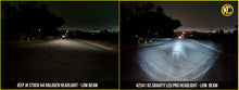 Load image into Gallery viewer, Photo - lifestyle view
