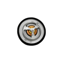 Load image into Gallery viewer, Photo - Close Up
