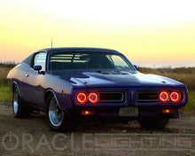 Load image into Gallery viewer, Photo - lifestyle view
