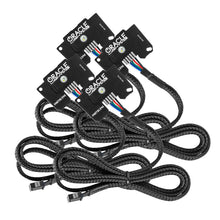 Load image into Gallery viewer, User 2
