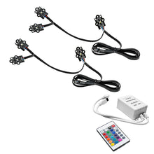 Load image into Gallery viewer, Photo - Primary
