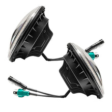 Load image into Gallery viewer, Photo - Close Up
