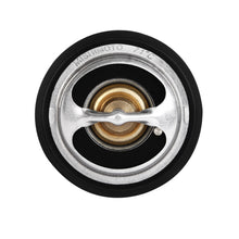 Load image into Gallery viewer, Photo - Close Up
