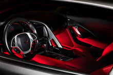 Load image into Gallery viewer, Photo - lifestyle view
