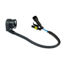 Load image into Gallery viewer, Photo - Primary
